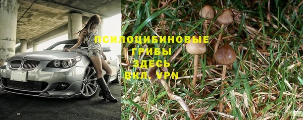 гашик Волоколамск