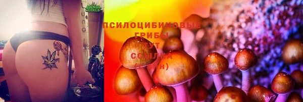 гашик Волоколамск